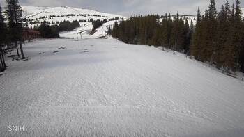 Драгобрат 17 березня 2026 року, 2026-03-17 10:00