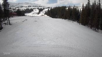 Драгобрат 17 березня 2026 року, 2026-03-17 13:00