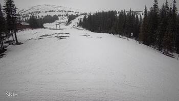 Драгобрат 31 березня 2026 року, 2026-03-31 10:00