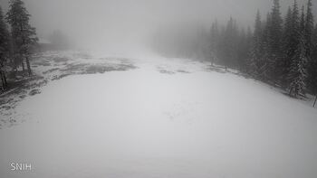 Драгобрат 21 квітня 2026 року, 2026-04-21 13:00