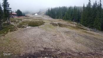 Драгобрат 9 травня 2026 року, 2026-05-09 16:00