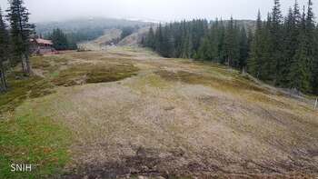 Драгобрат 20 травня 2026 року, 2026-05-20 13:00