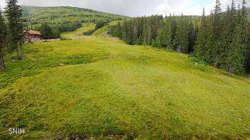Drahobrat 20 july 2026 year, 2026-07-20 13:00