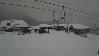 Красія 14 січня 2019 року, 2019-01-14 10:00