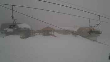 Красія 31 січня 2019 року, 2019-01-31 13:00