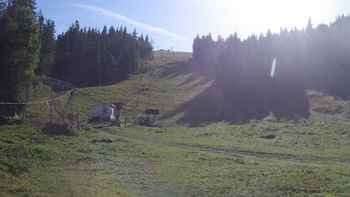 Захар Беркут 16 вересня 2017 року, 2017-09-16 10:00