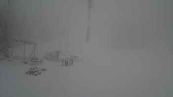 Захар Беркут 7 грудня 2017 року, 2017-12-07 13:00
