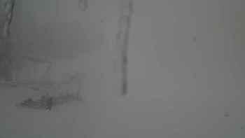 Захар Беркут 9 грудня 2017 року, 2017-12-09 13:00