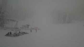 Захар Беркут 9 грудня 2017 року, 2017-12-09 16:00