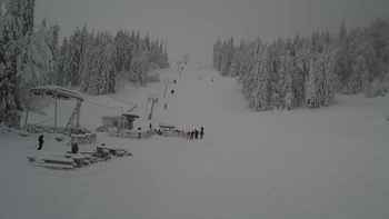 Захар Беркут 10 грудня 2017 року, 2017-12-10 13:00