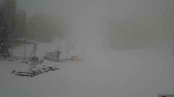 Захар Беркут 14 грудня 2017 року, 2017-12-14 13:00