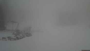 Захар Беркут 29 грудня 2017 року, 2017-12-29 10:00