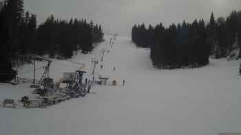 Захар Беркут 16 січня 2018 року, 2018-01-16 13:00