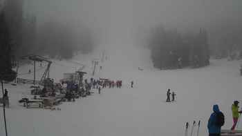 Захар Беркут 29 січня 2018 року, 2018-01-29 13:00