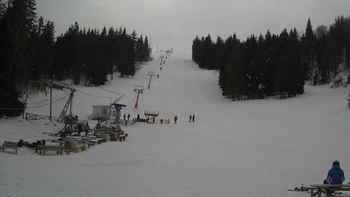 Захар Беркут 6 березня 2018 року, 2018-03-06 13:00