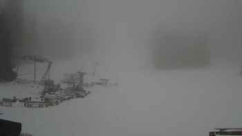 Захар Беркут 8 березня 2018 року, 2018-03-08 10:00