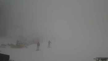 Захар Беркут 9 березня 2018 року, 2018-03-09 13:00