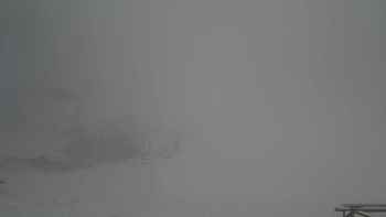 Захар Беркут 10 березня 2018 року, 2018-03-10 16:00