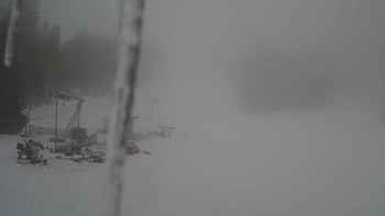 Захар Беркут 17 березня 2018 року, 2018-03-17 13:00