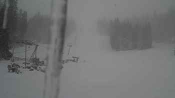 Захар Беркут 18 березня 2018 року, 2018-03-18 10:00