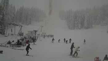 Захар Беркут 2 січня 2019 року, 2019-01-02 13:00