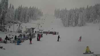 Захар Беркут 12 січня 2019 року, 2019-01-12 13:00