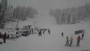 Захар Беркут 18 січня 2019 року, 2019-01-18 13:00