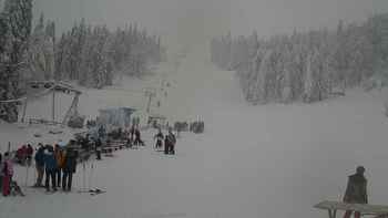 Захар Беркут 20 січня 2019 року, 2019-01-20 13:00