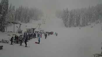 Захар Беркут 27 січня 2019 року, 2019-01-27 13:00