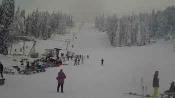 Захар Беркут 28 січня 2019 року, 2019-01-28 13:00