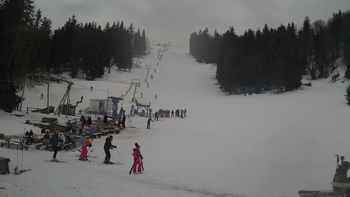 Захар Беркут 5 лютого 2019 року, 2019-02-05 13:00