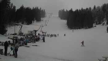 Захар Беркут 6 лютого 2019 року, 2019-02-06 13:00