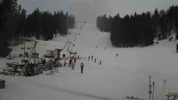 Захар Беркут 1 березня 2019 року, 2019-03-01 16:00