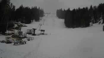 Захар Беркут 28 березня 2019 року, 2019-03-28 10:00