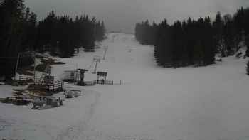 Захар Беркут 28 березня 2019 року, 2019-03-28 13:00