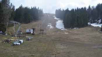 Захар Беркут 14 квітня 2019 року, 2019-04-14 13:00