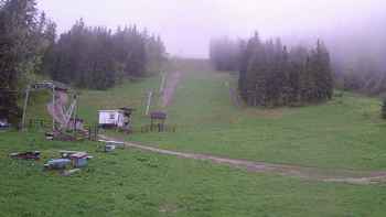 Захар Беркут 21 травня 2019 року, 2019-05-21 10:00
