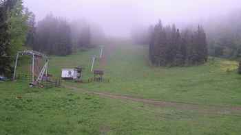 Захар Беркут 31 травня 2019 року, 2019-05-31 13:00