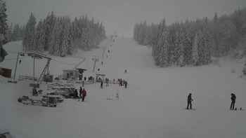 Захар Беркут 29 грудня 2019 року, 2019-12-29 13:00