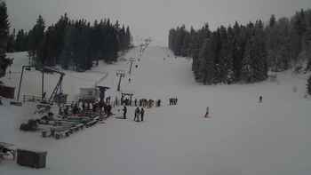 Захар Беркут 20 січня 2020 року, 2020-01-20 13:00