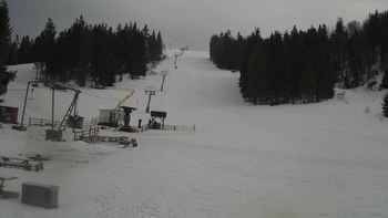 Захар Беркут 10 березня 2020 року, 2020-03-10 13:00