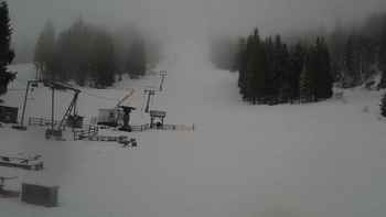 Захар Беркут 11 березня 2020 року, 2020-03-11 13:00