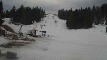 Захар Беркут 20 березня 2020 року, 2020-03-20 13:00