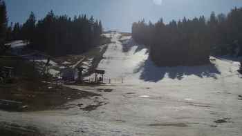 Захар Беркут 7 квітня 2020 року, 2020-04-07 10:00