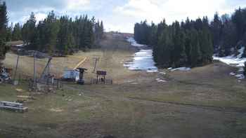 Захар Беркут 17 квітня 2020 року, 2020-04-17 13:00