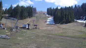 Захар Беркут 20 квітня 2020 року, 2020-04-20 13:00