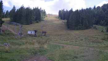 Захар Беркут 20 серпня 2020 року, 2020-08-20 13:00