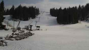 Захар Беркут 1 квітня 2021 року, 2021-04-01 13:00