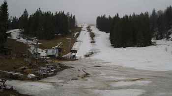 Захар Беркут 29 квітня 2021 року, 2021-04-29 16:00