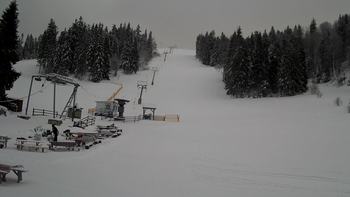 Захар Беркут 21 січня 2022 року, 2022-01-21 10:00